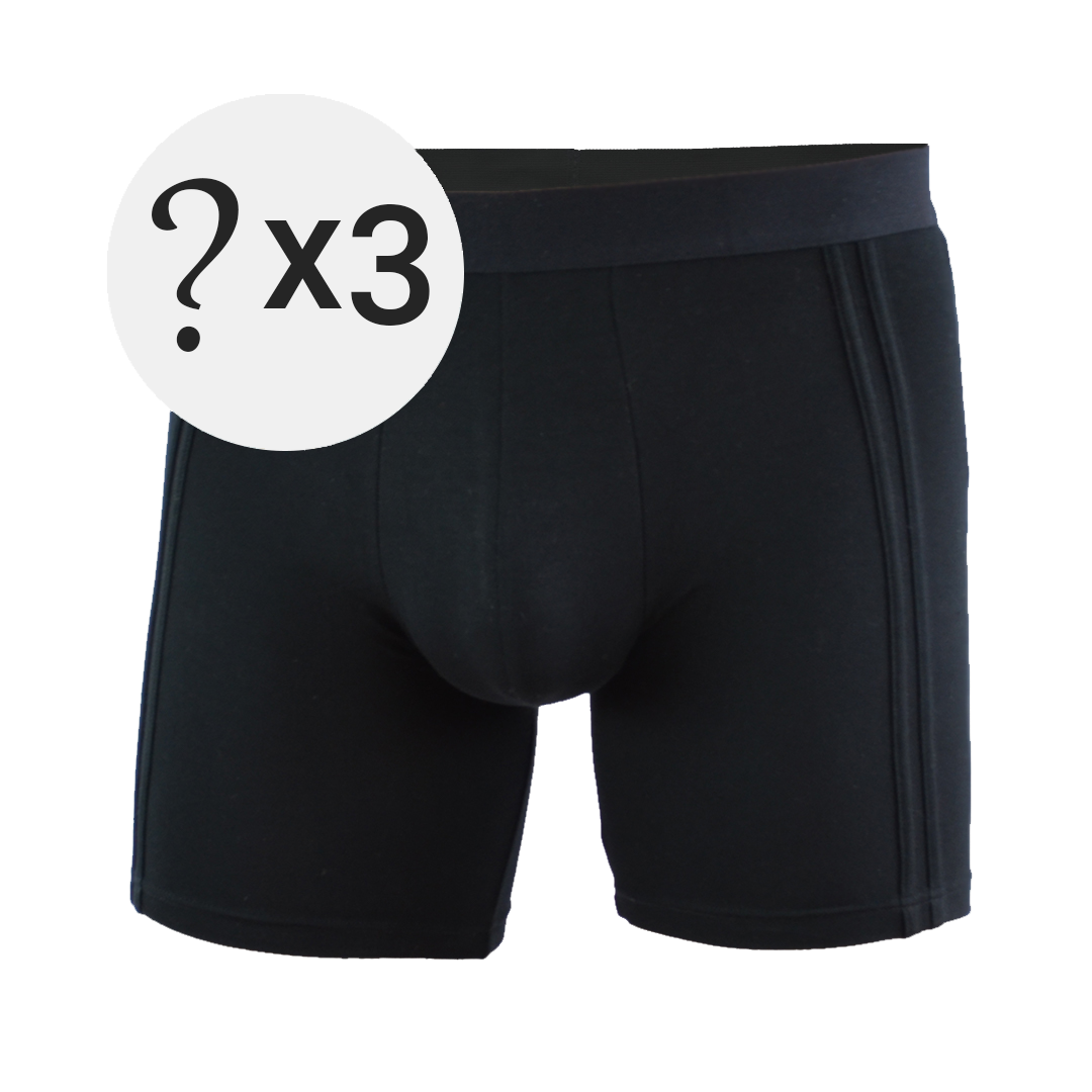 Underwear Expert Men's Briefs Curated Mystery Box, 3 Pairs 